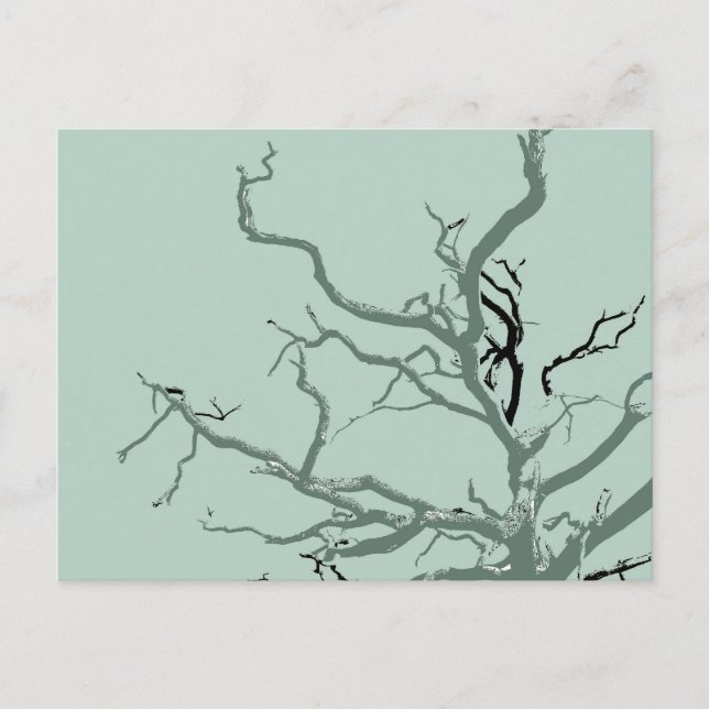 Postal Torcido  (Anverso)