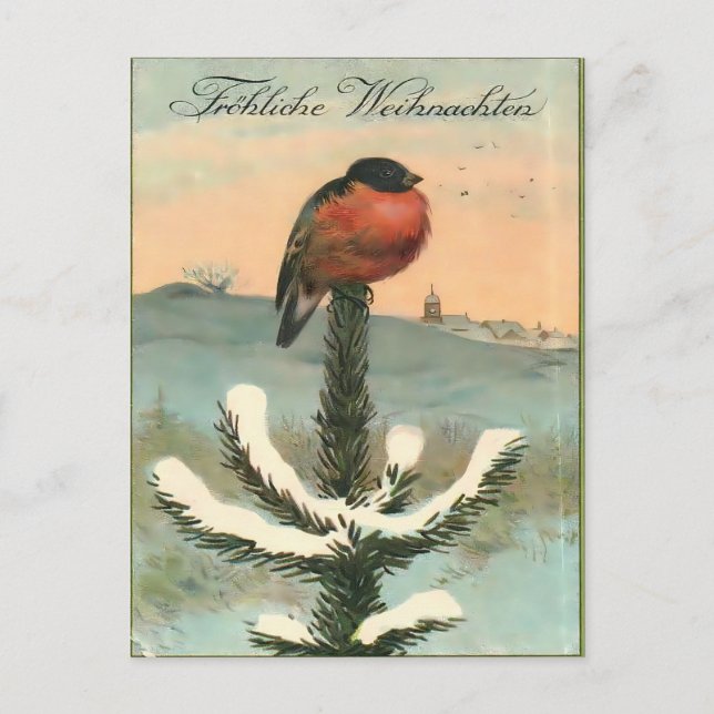 Postal Tordo común vintage sobre pino nevado (Anverso)