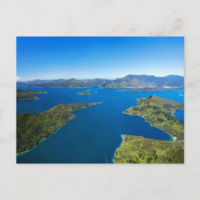 Postal Torea Bay, Queen Charlotte Sound, Marlborough (Anverso)