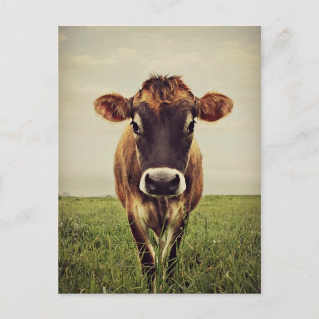 Postal Tormenta (Anverso)