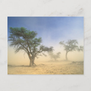Postal Tormenta De Arena En El Desierto De Kalahari, Kgal