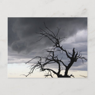 Postal Tormenta de Guadalupe