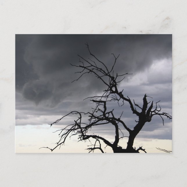 Postal Tormenta de Guadalupe (Anverso)