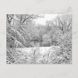 Postal Tormenta de nieve