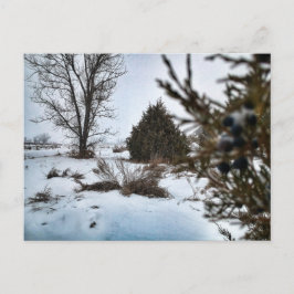 Postal Tormenta de nieve de invierno en Dakota del Norte