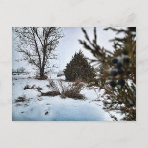 Postal Tormenta de nieve de invierno en Dakota del Norte