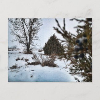 Postal Tormenta de nieve de invierno en Dakota del Norte
