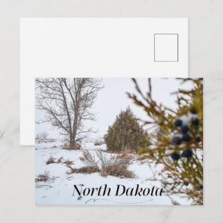 Postal Tormenta de nieve de invierno en Dakota del Norte