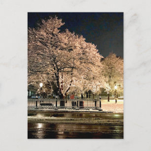Postal Tormenta de nieve nocturna Salem Common Massachuse