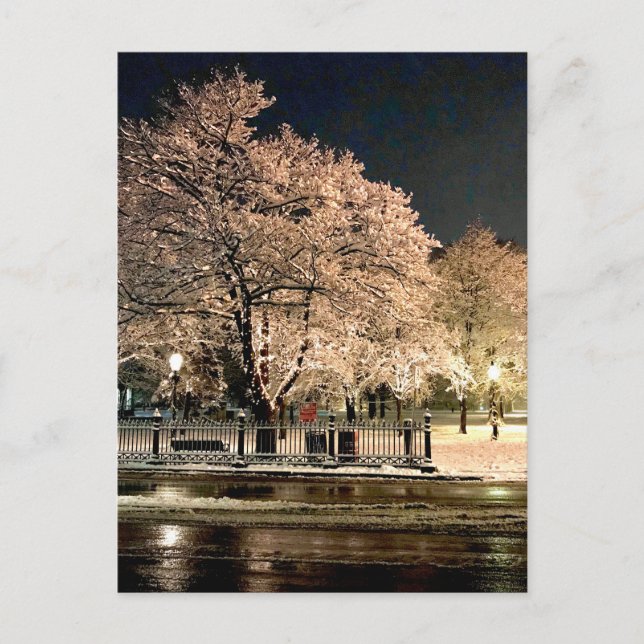 Postal Tormenta de nieve nocturna Salem Common Massachuse (Anverso)