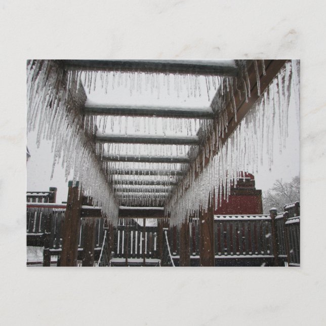 Postal ¡Tormenta helada de Oklahoma 2010! (Anverso)