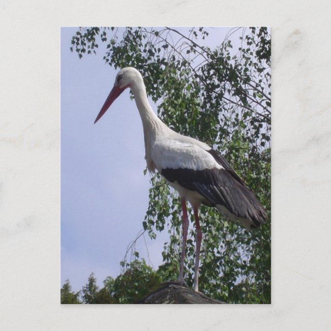 Postal Tormentas de Estrasburgo (Anverso)