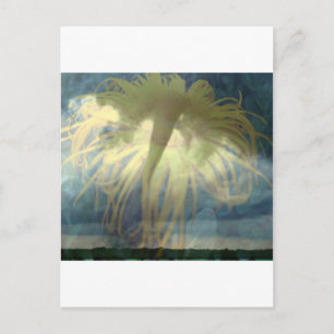 Postal Tornado Inula