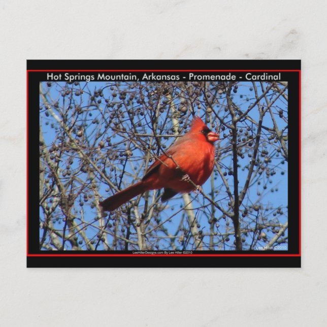 Postal Torneos de montaña Hot Springs Promenade Cardinal  (Anverso)