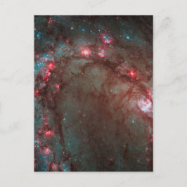 Postal Tornillo del sur