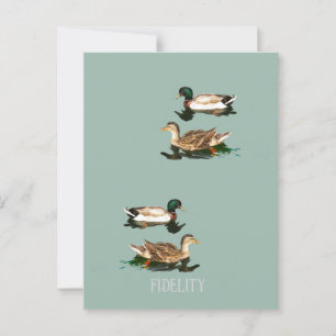 Postal Tornos de escarcha de mallard comestibles