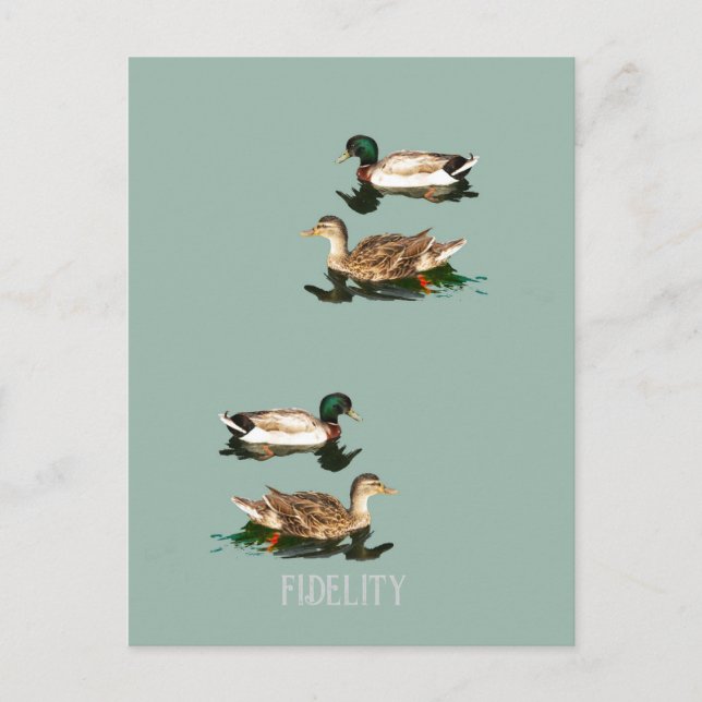 Postal Tornos de escarcha de mallard comestibles (Anverso)
