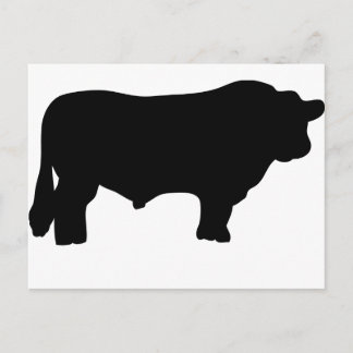 Postal toro de angus negra grande