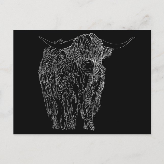 Postal Toro de Highlander de Escocia (Anverso)