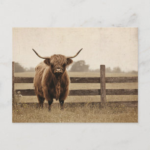 Postal Toro de las Tierras Altas al Estilo Vintage
