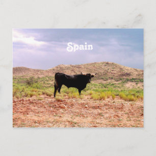 Postal Toro en España