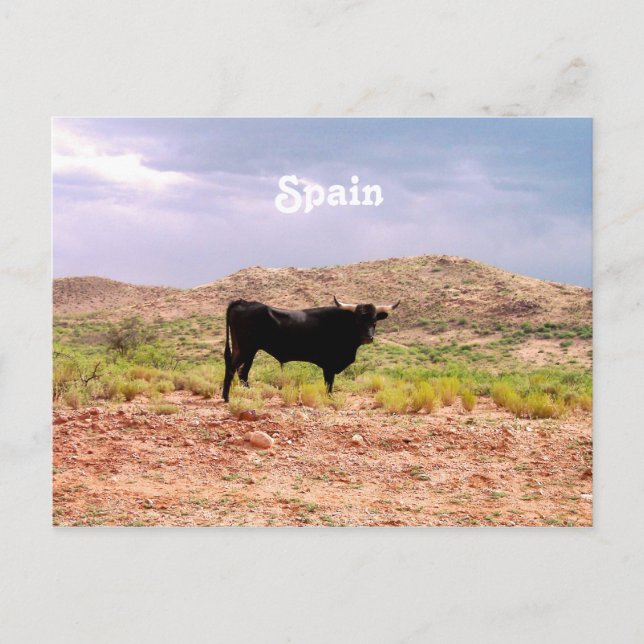 Postal Toro en España (Anverso)