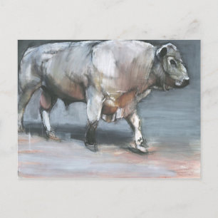 Postal Toro Galloway de Fresno