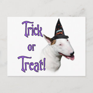 Postal Toro Terrier