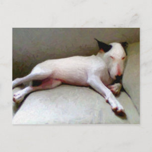 Postal Toro Terrier inglés