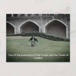 Postal Torre de Ravens de Londres