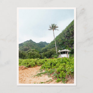 Postal Torre de Salvavidas de Tunnels Beach Tropical Kaua