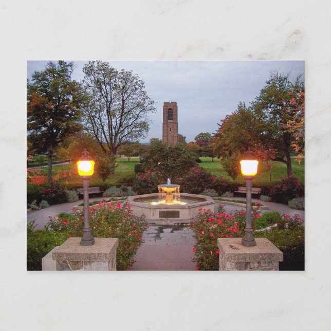 Postal Torre del Caribe de Baker Bark y Fuente (Anverso)