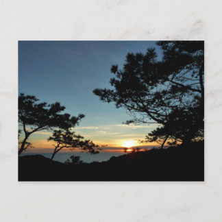 Postal Torrey Pine Sunset III California