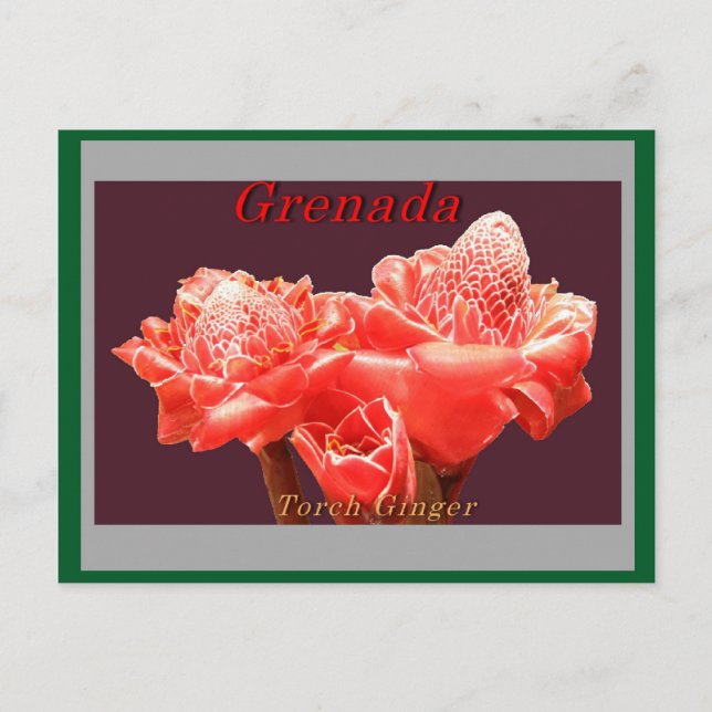 Postal Torsión Ginger (Anverso)