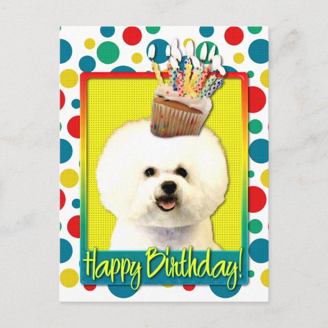 Postal Torta de cumpleaños - Bichon Frise (Anverso)