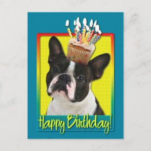 Postal Torta de cumpleaños - Boston Terrier