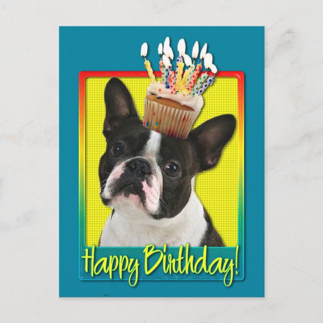 Postal Torta de cumpleaños - Boston Terrier (Anverso)