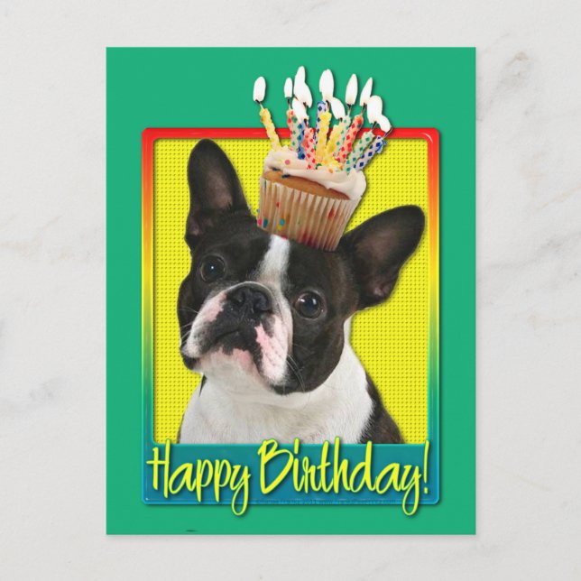 Postal Torta de cumpleaños - Boston Terrier (Anverso)