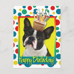 Postal Torta de cumpleaños - Boston Terrier