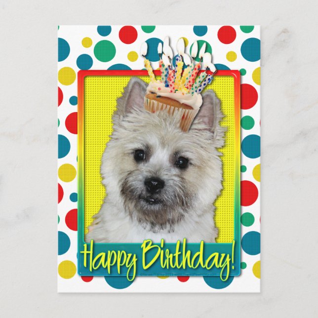 Postal Torta de cumpleaños - Cairn Terrier - Oso de Teddy (Anverso)