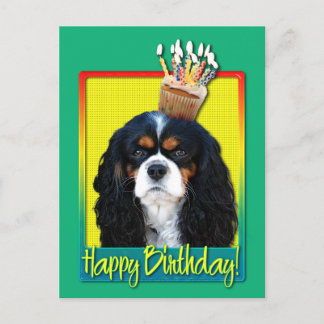 Postal Torta de cumpleaños - Cavalier - Tri-Color