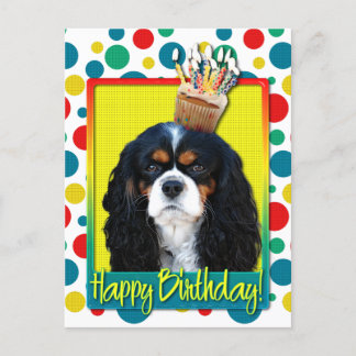 Postal Torta de cumpleaños - Cavalier - Tri-Color