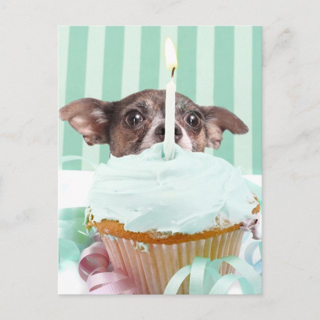 Postal Torta de cumpleaños Chihuahua (Anverso)
