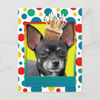 Torta de cumpleaños - Chihuahua - Isabella