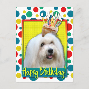 Postal Torta de cumpleaños - Coton de Tulear
