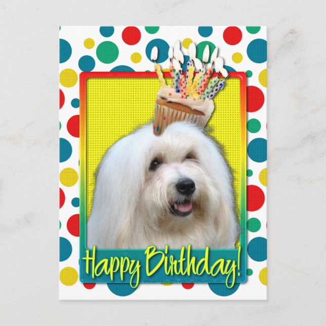Postal Torta de cumpleaños - Coton de Tulear (Anverso)