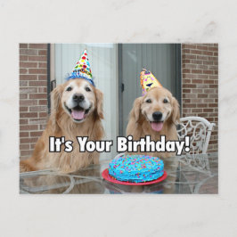 Postal Torta de cumpleaños de Golden Retriever