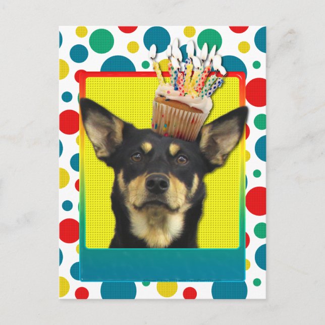 Postal Torta de cumpleaños - Kelpie australiano - Jude (Anverso)
