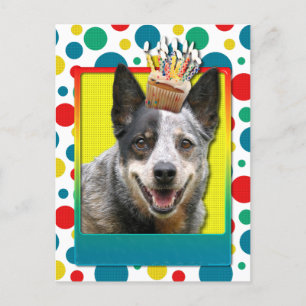 Postal Torta de cumpleaños - Perro de ganado australiano