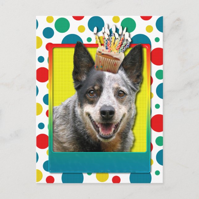 Postal Torta de cumpleaños - Perro de ganado australiano (Anverso)